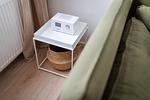 Dekoratives Detail - B12 - Top-Hundeurlaub