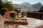 Blick auf Sehenswürdigkeit - Apartment Bergdohle - Top-Hundeurlaub