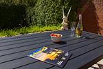 Inselblume 68 - Ferienwohnung bei Burgstaaken auf Fehmarn - Top-Hundeurlaub