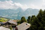 Landschaft - Apartment Speer - Top-Hundeurlaub