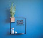 Inselblume 78 - Ferienwohnung mit Strandkorb in Burgtiefe - Top-Hundeurlaub