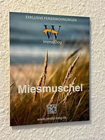 Dekoratives Detail - Miesmuschel - Top-Hundeurlaub