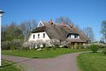 Reetdachhaus Malve 2 - Top-Hundeurlaub