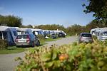 Hvidbjerg Strand Ferienpark - Top-Hundeurlaub