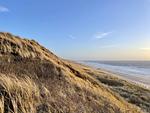 Strand - Playa - Top-Hundeurlaub