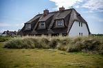 Gartenblick - bohoSylt 4 - Top-Hundeurlaub