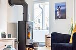 Kamin-/Ofen - Ferienwohnung Stjernehus Olpenitz - Top-Hundeurlaub