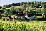 Hotel Stigenwirth & Landhaus Ingrid - Top-Hundeurlaub