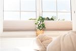 Schlafzimmer - Nautic W06 - Top-Hundeurlaub