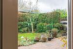 Garten - FeWo Dorfring - Top-Hundeurlaub