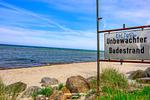 Strand - Stein W04 St.6 - Top-Hundeurlaub