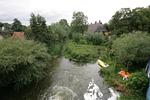 Landschaft - Mühle W02 M2 - Top-Hundeurlaub