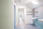Dekoratives Detail - Apartment Schwendihaus - Top-Hundeurlaub