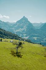 Berge - Apartment Schwendihaus - Top-Hundeurlaub