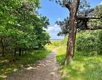 Residenz Grantz Wohnung 2 - Top-Hundeurlaub