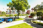 Landschaft - Haus Oceanic Wohnung 5 - Top-Hundeurlaub