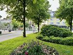 Haus Elisabeth Wohnung 3 - Top-Hundeurlaub