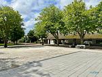 Haus Elbe Wohnung 11 - Top-Hundeurlaub