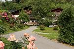 Kirchtalhof  - Top-Hundeurlaub