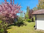 Garten - Reiher 4 - Top-Hundeurlaub