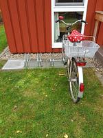 Seeschwalbe 161 - Top-Hundeurlaub