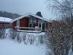 Garten - Seeschwalbe 161 - Top-Hundeurlaub