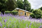 Fassade / Eingang - Seeschwalbe 242 - Top-Hundeurlaub