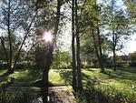Landschaft - Wildgans 54 - Top-Hundeurlaub