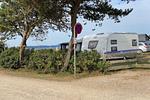 Rosenvold Strand Camping - Top-Hundeurlaub