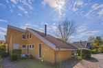 Wildgans 138 - Top-Hundeurlaub