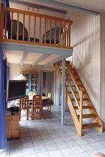 Wildgans 270 - Top-Hundeurlaub