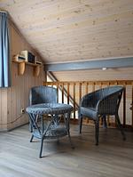 Dekoratives Detail - Wildgans 279 - Top-Hundeurlaub
