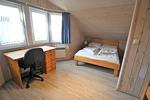 Wildgans 281 - Top-Hundeurlaub