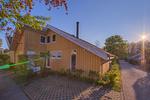 Wildgans 62 - Top-Hundeurlaub
