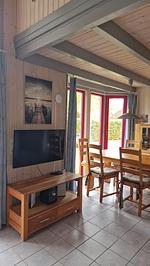 TV / Multimedia - Wildgans 155 - Top-Hundeurlaub