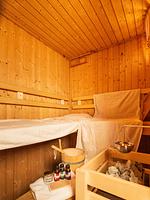 Sauna - Wildgans 233 - Top-Hundeurlaub
