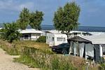 Haffcamp Boiensdorfer Werder - Top-Hundeurlaub