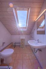 Wildgans Classic 252 - Top-Hundeurlaub