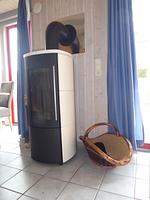 Kamin-/Ofen - Wildgans 268 - Top-Hundeurlaub