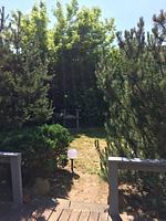 Wildgans 87 - Top-Hundeurlaub