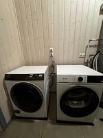 Schwan 308 - Top-Hundeurlaub