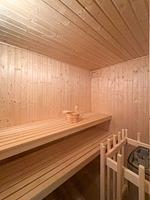 Schwan 311 - Top-Hundeurlaub