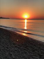 Feha 47 "Ferienhaus günstig und ruhig gelegen" - Top-Hundeurlaub