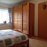 Feha 47 "Ferienhaus günstig und ruhig gelegen" - Top-Hundeurlaub