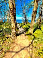 Feha 47 "Ferienhaus günstig und ruhig gelegen" - Top-Hundeurlaub