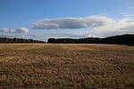 Gartenblick - Schwan 312 - Top-Hundeurlaub