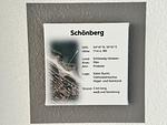 Dekoratives Detail - Topplicht - Top-Hundeurlaub
