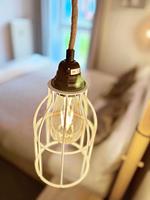 Deichwächter - Top-Hundeurlaub