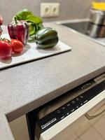 Deichwächter - Top-Hundeurlaub