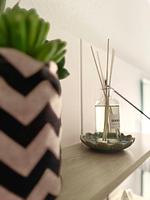 Deichwächter - Top-Hundeurlaub